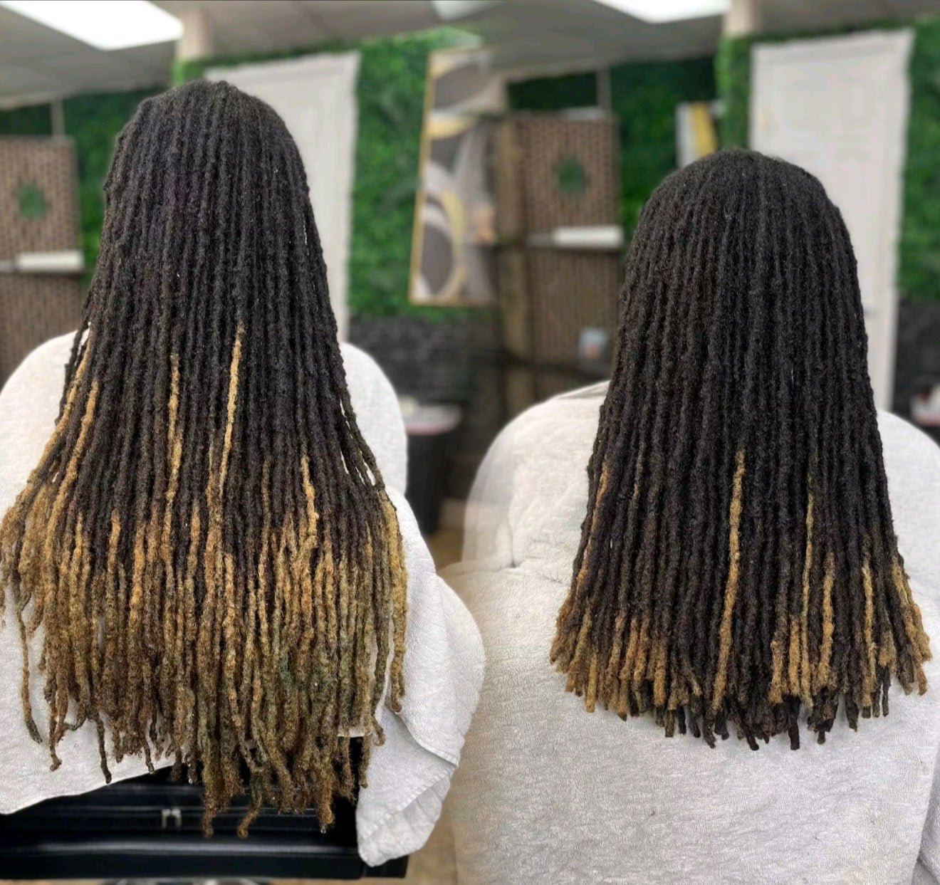 ✨Crown Transformations